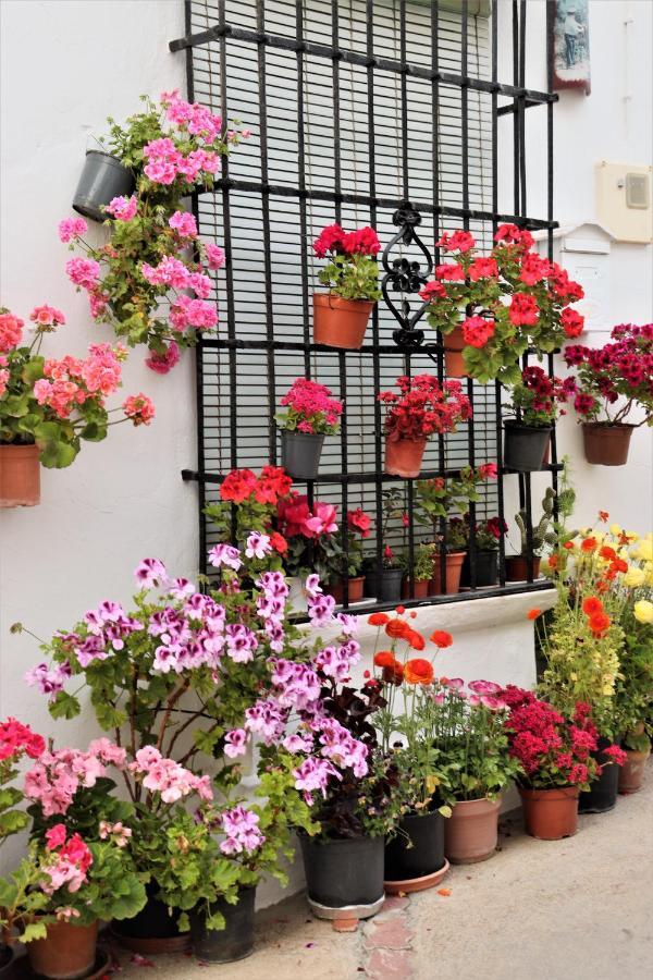 Hostal Moncada Gaucín Dış mekan fotoğraf