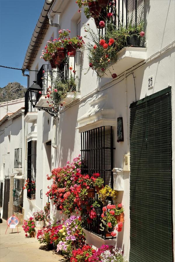 Hostal Moncada Gaucín Dış mekan fotoğraf